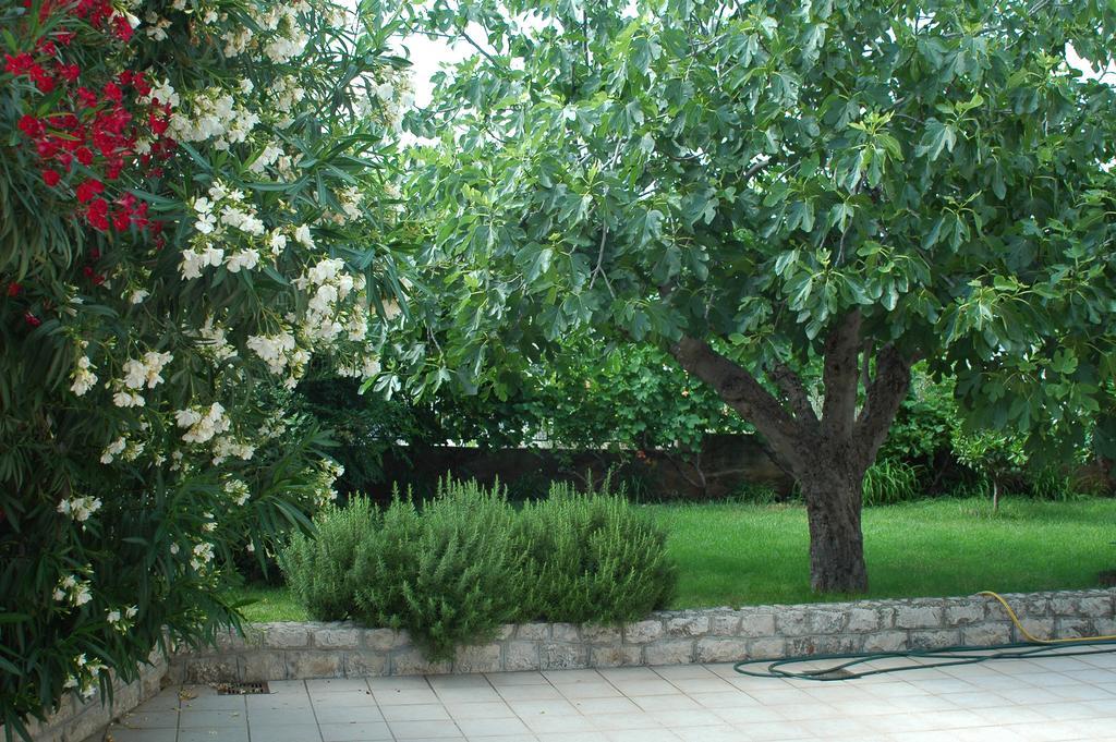 Villa Agnic Trogir Eksteriør bilde